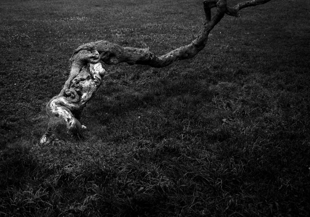 58x43cm-margen_50x35cm-imagen_DSC0500