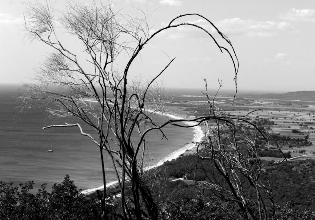 58x43cm-margen_50x35cm-imagen_DSC9694