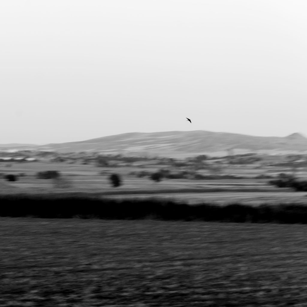 58x58cm-margen_50x50cm-imagen_DSC4191