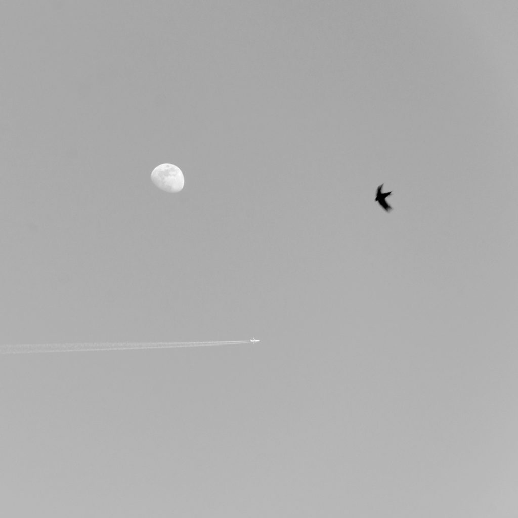 58x58cm-margen_50x50cm-imagen_DSC8593